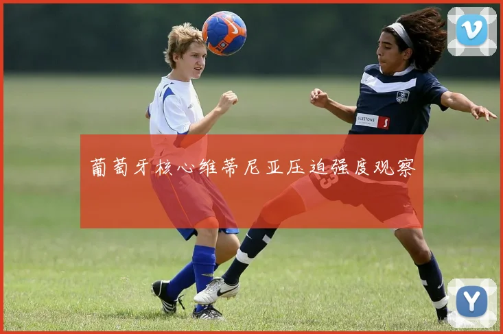 葡萄牙核心维蒂尼亚压迫强度观察