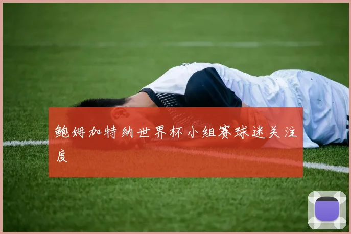 鲍姆加特纳世界杯小组赛球迷关注度