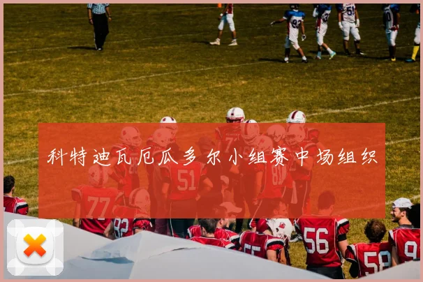 科特迪瓦厄瓜多尔小组赛中场组织