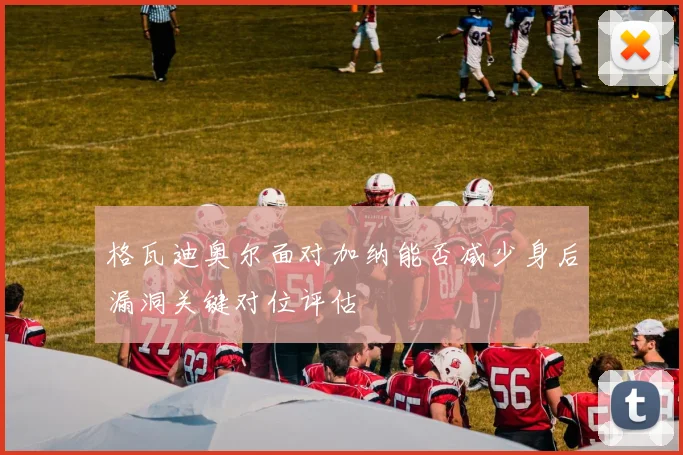 格瓦迪奥尔面对加纳能否减少身后漏洞关键对位评估