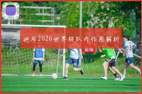 迪布2026世界杯队内作用解析
