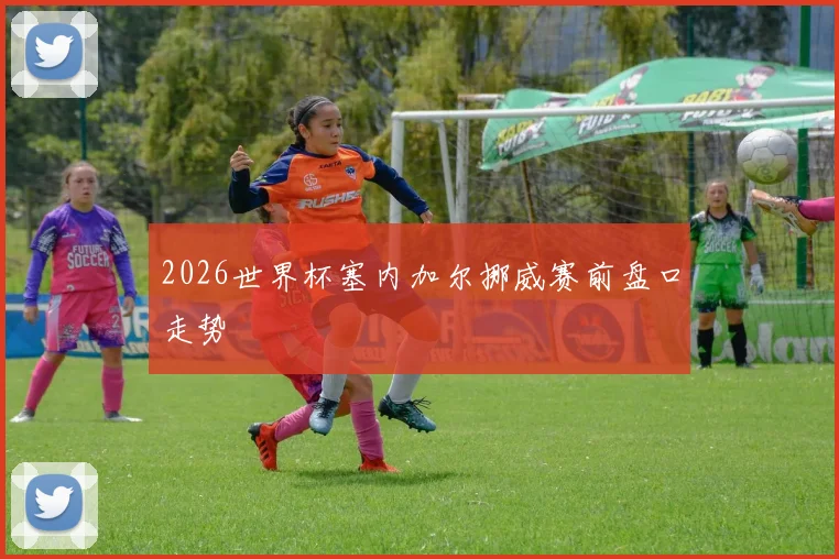 2026世界杯塞内加尔挪威赛前盘口走势