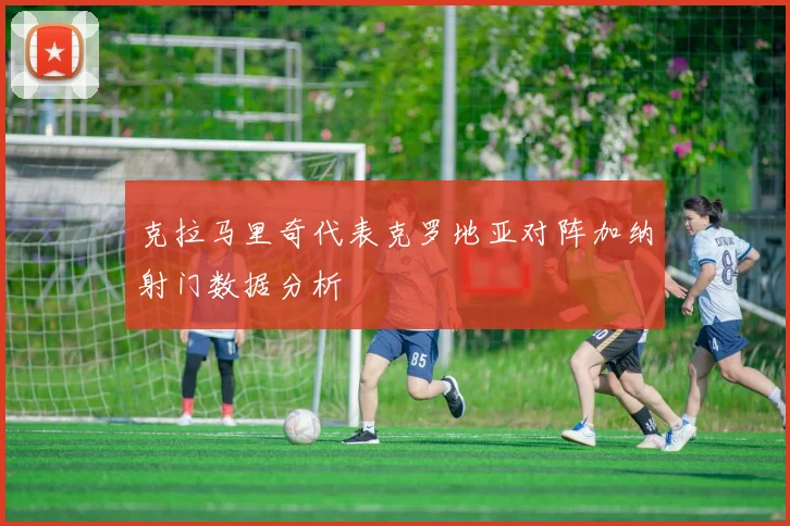 克拉马里奇代表克罗地亚对阵加纳射门数据分析